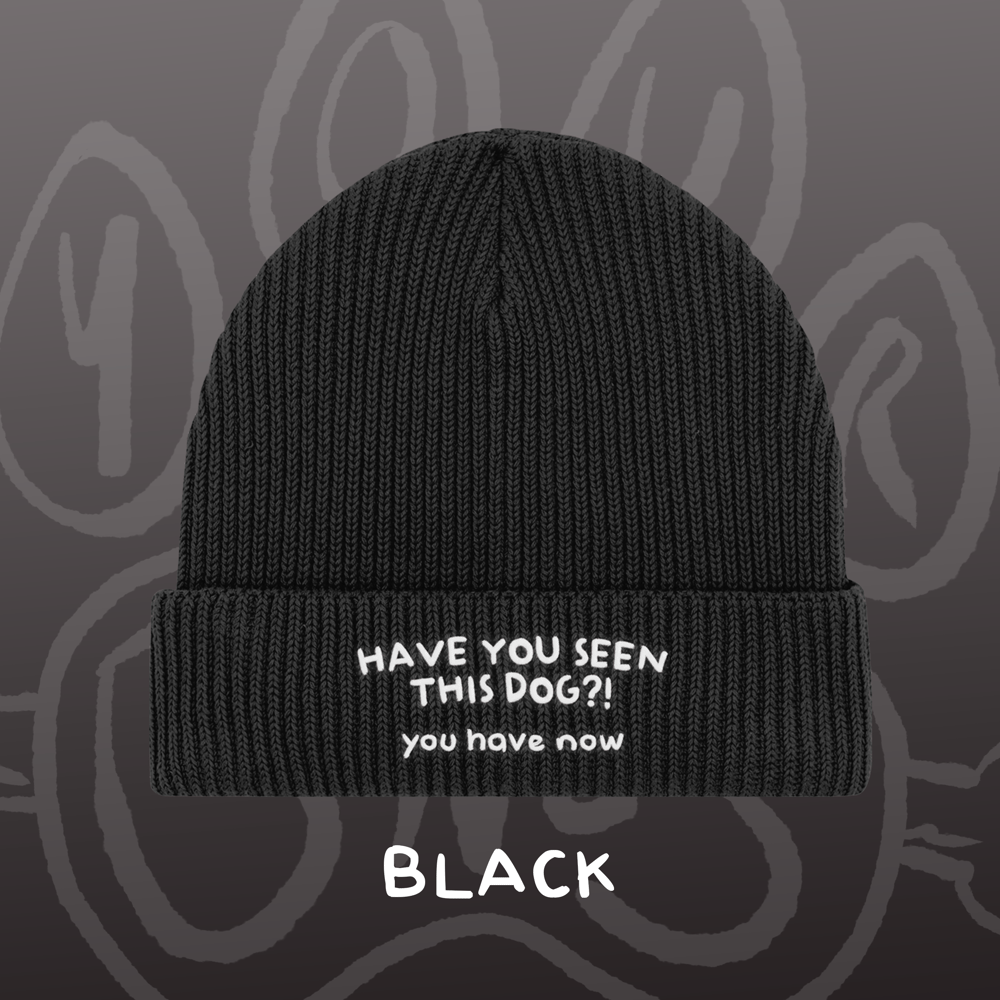 Image of HAVE YOU SEEN THIS DOG?! - Fisherman Beanie