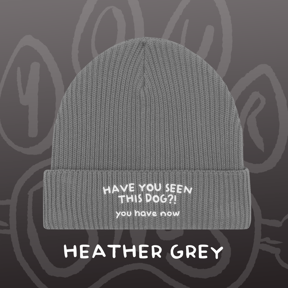 Image of HAVE YOU SEEN THIS DOG?! - Fisherman Beanie