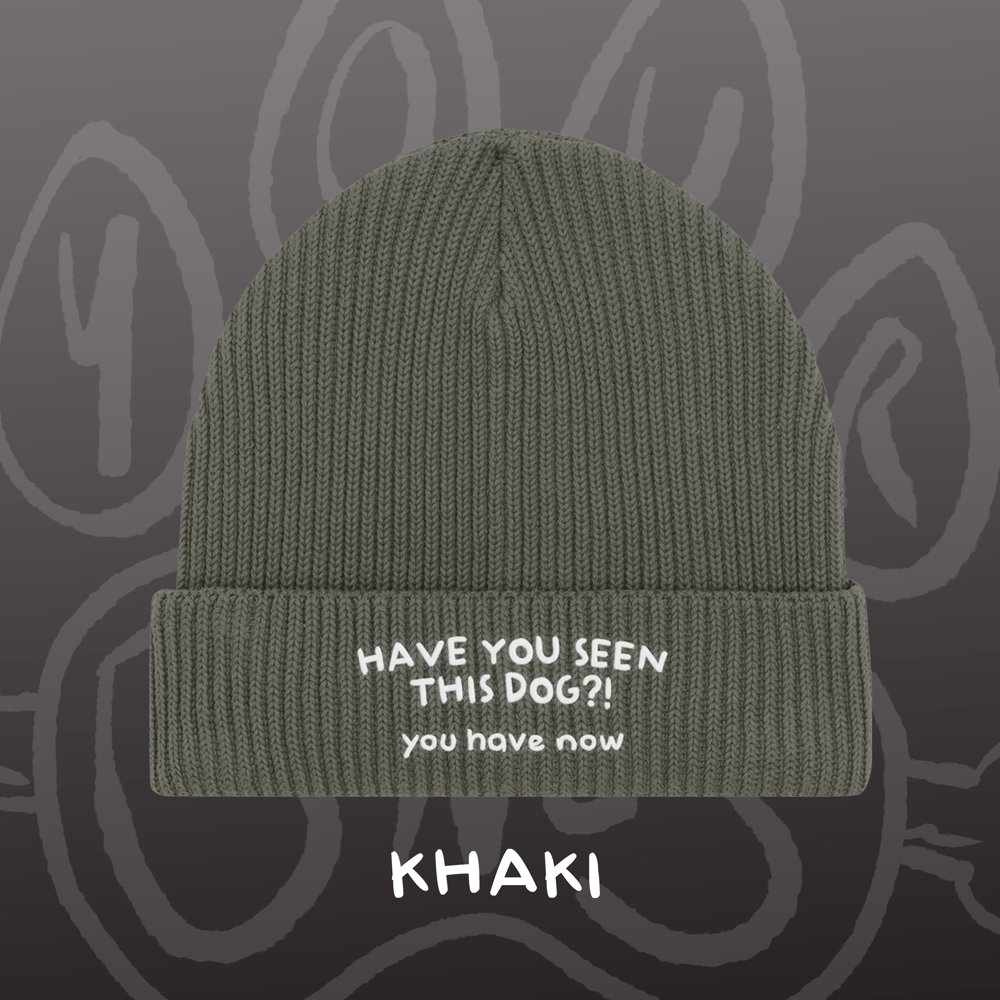 Image of HAVE YOU SEEN THIS DOG?! - Fisherman Beanie