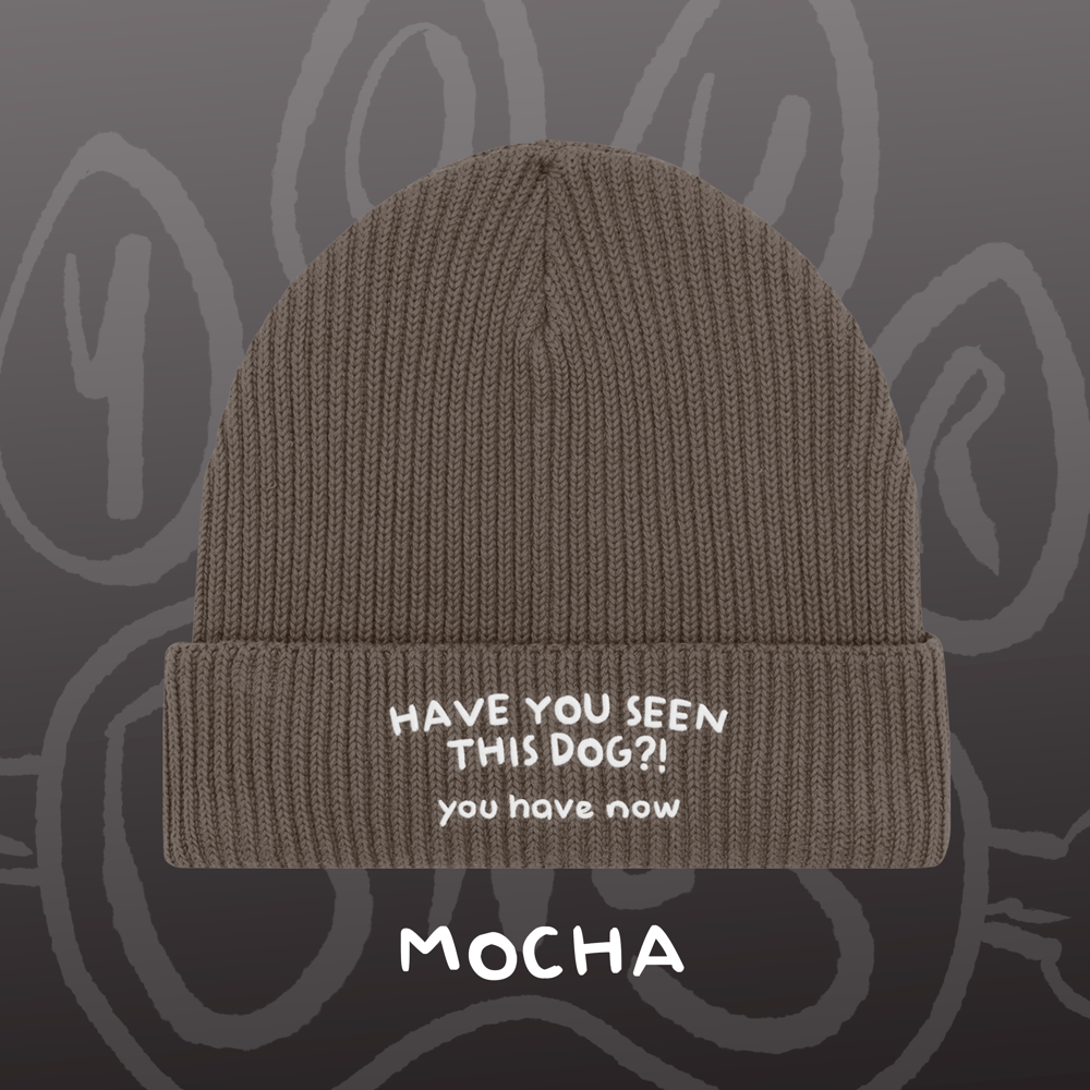 Image of HAVE YOU SEEN THIS DOG?! - Fisherman Beanie