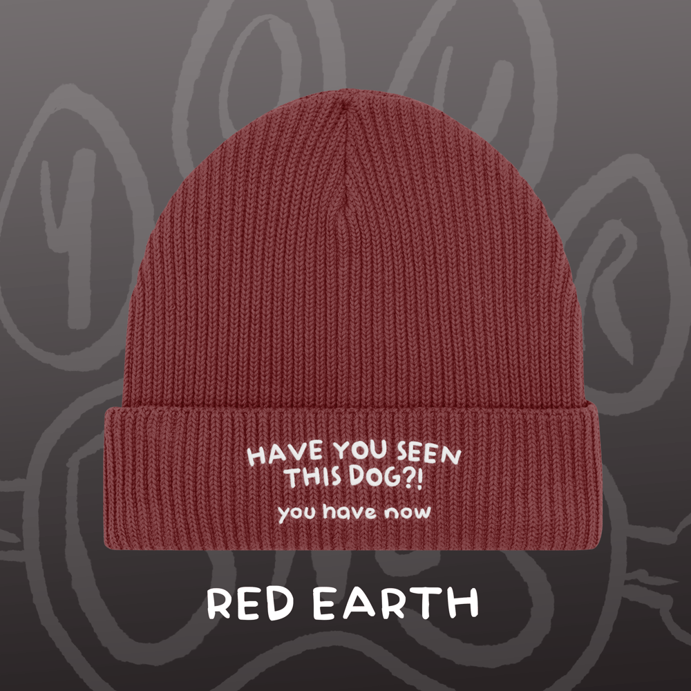 Image of HAVE YOU SEEN THIS DOG?! - Fisherman Beanie