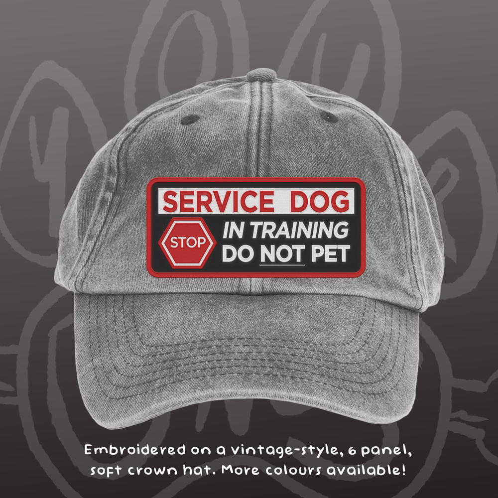 Image of SERVICE DOG - Vintage Cap