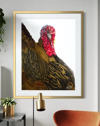 Image 1 of FIRST TURKEY