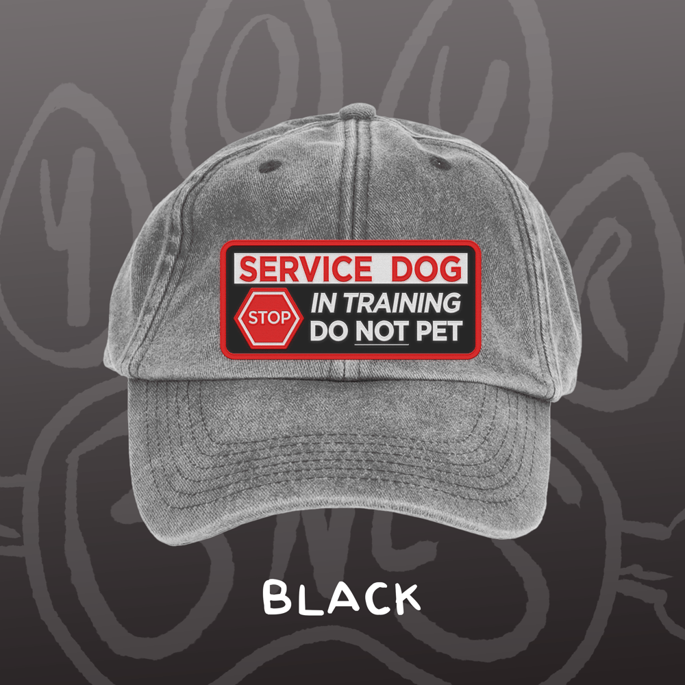 Image of SERVICE DOG - Vintage Cap