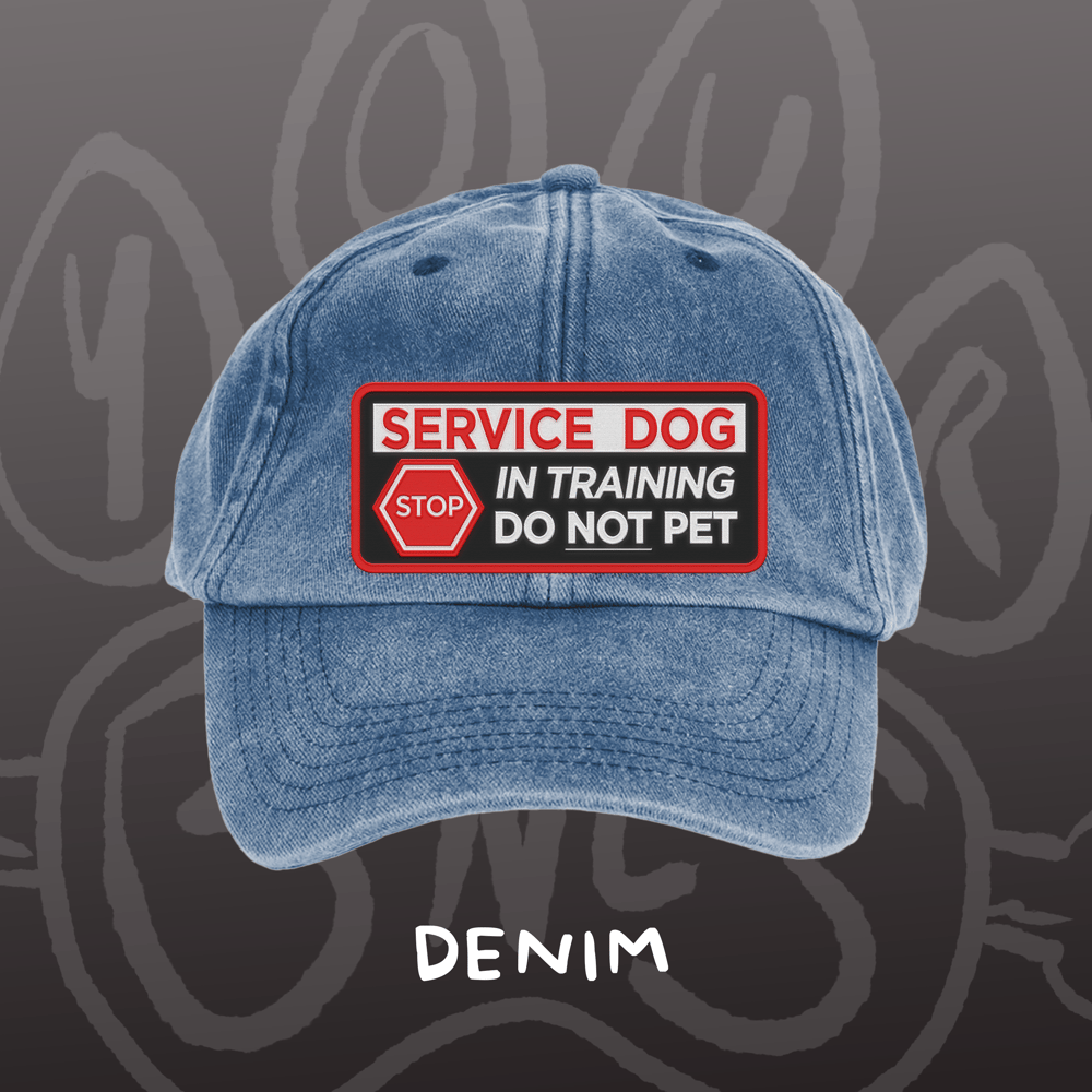 Image of SERVICE DOG - Vintage Cap