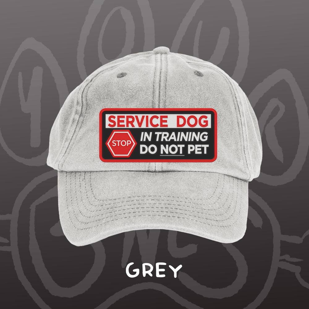 Image of SERVICE DOG - Vintage Cap