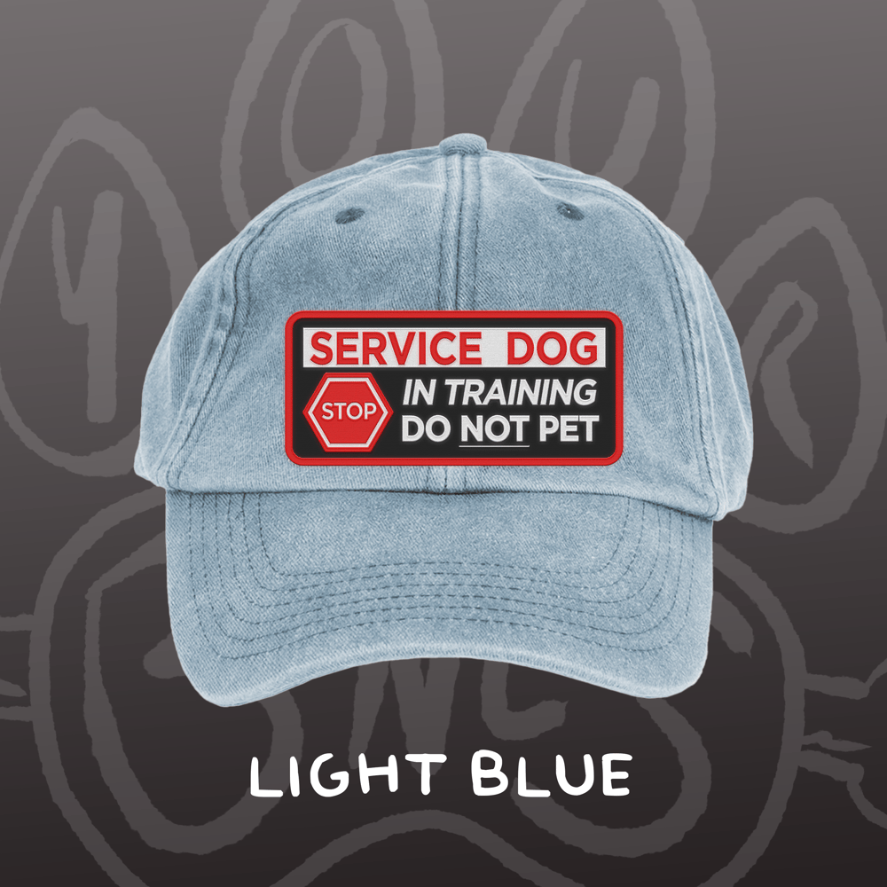 Image of SERVICE DOG - Vintage Cap