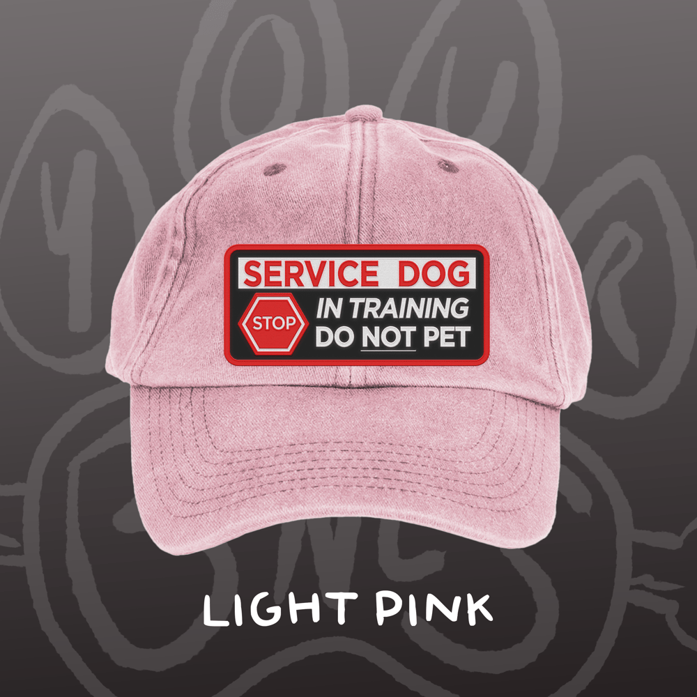 Image of SERVICE DOG - Vintage Cap