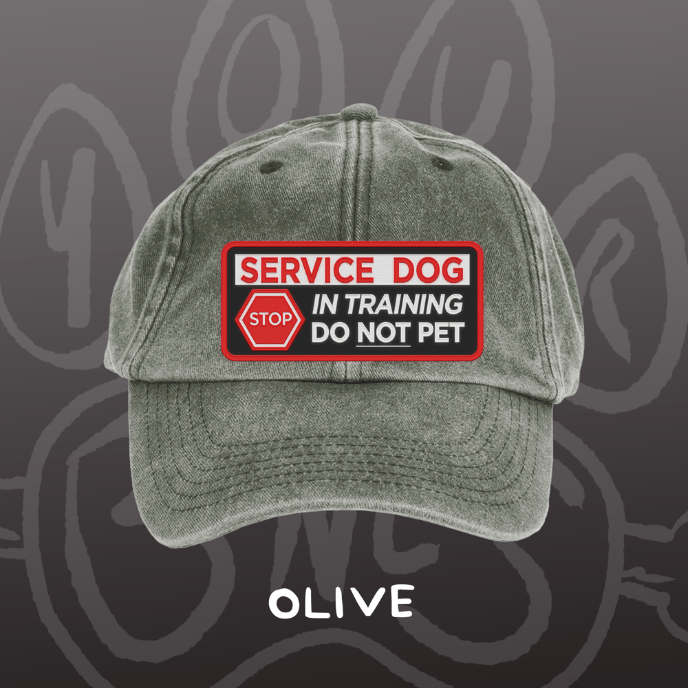 Image of SERVICE DOG - Vintage Cap