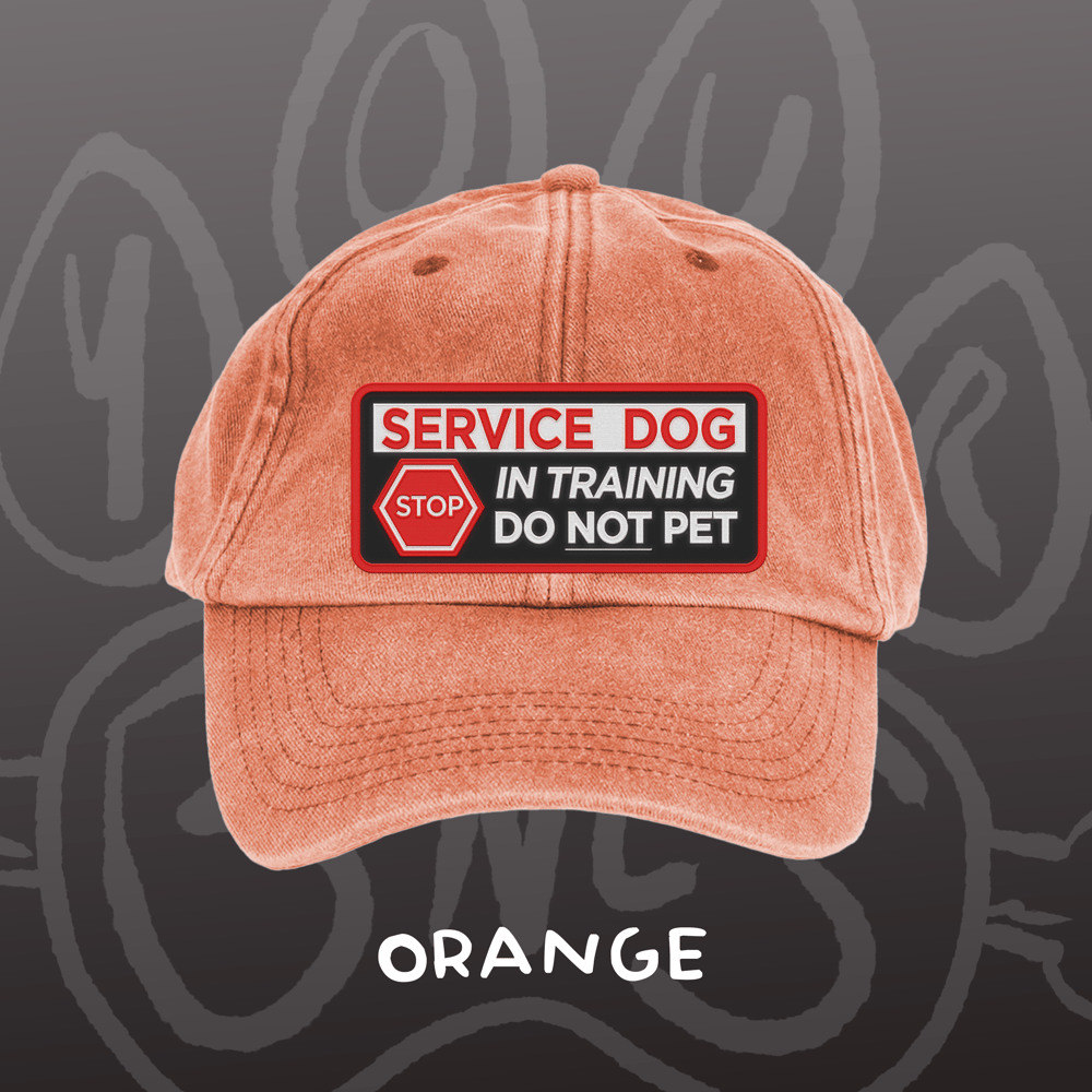 Image of SERVICE DOG - Vintage Cap