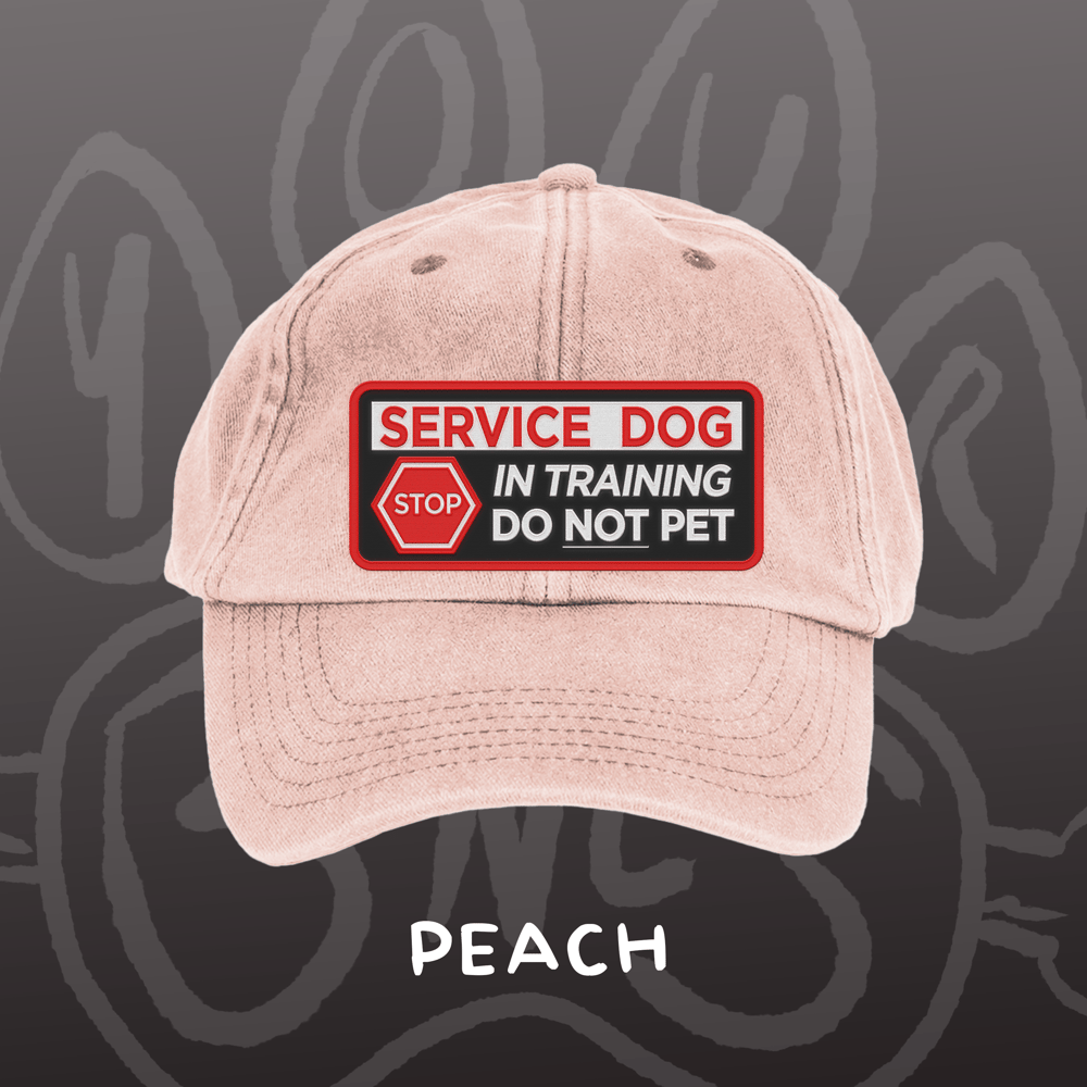 Image of SERVICE DOG - Vintage Cap