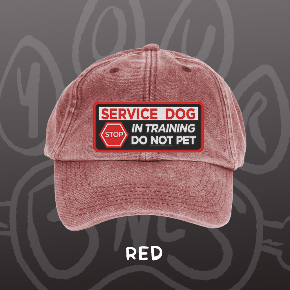 Image of SERVICE DOG - Vintage Cap