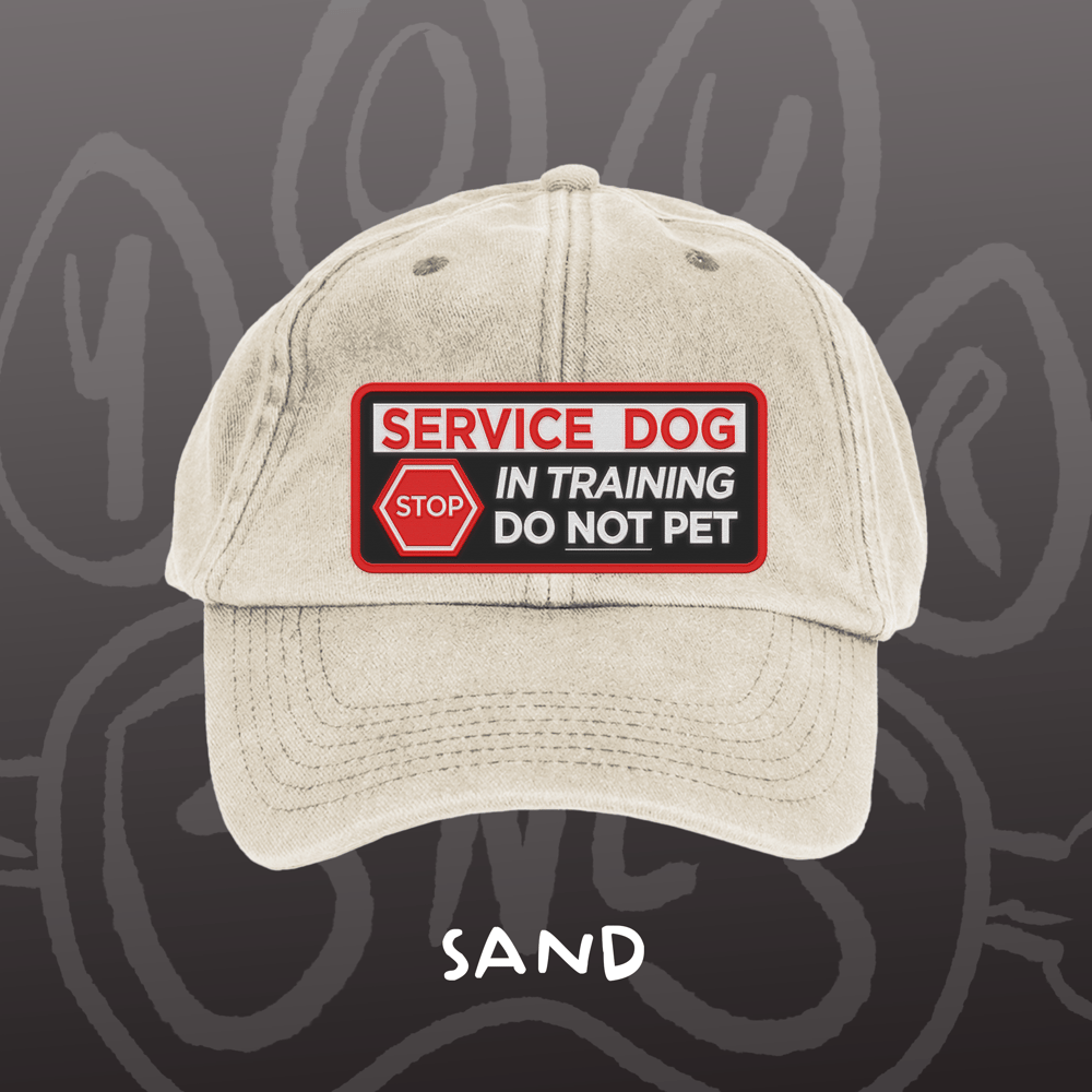 Image of SERVICE DOG - Vintage Cap