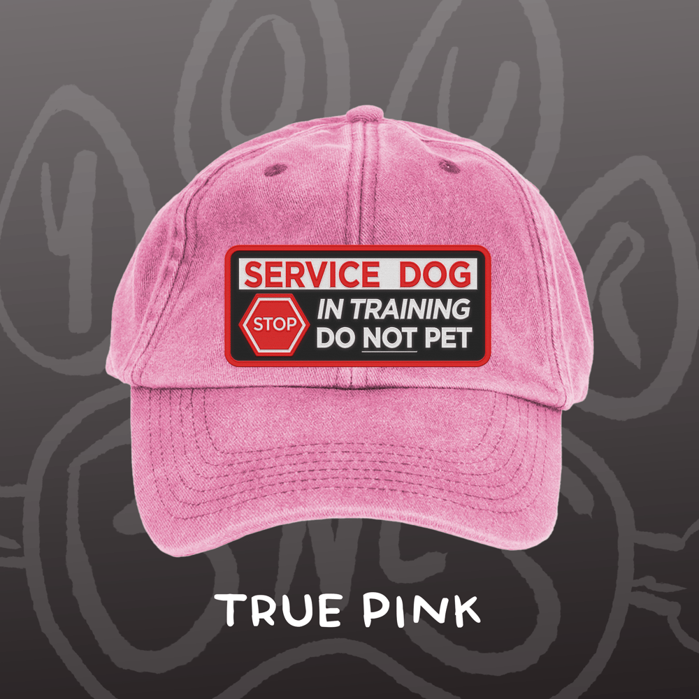 Image of SERVICE DOG - Vintage Cap