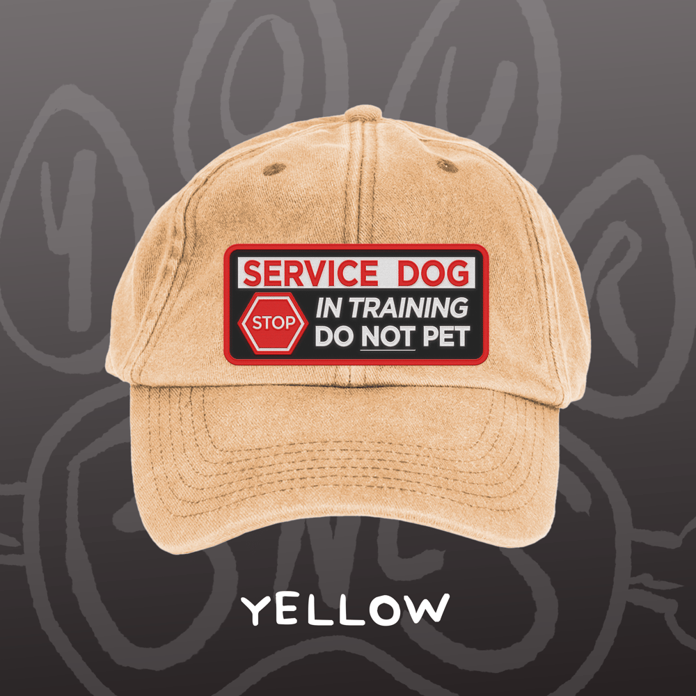 Image of SERVICE DOG - Vintage Cap