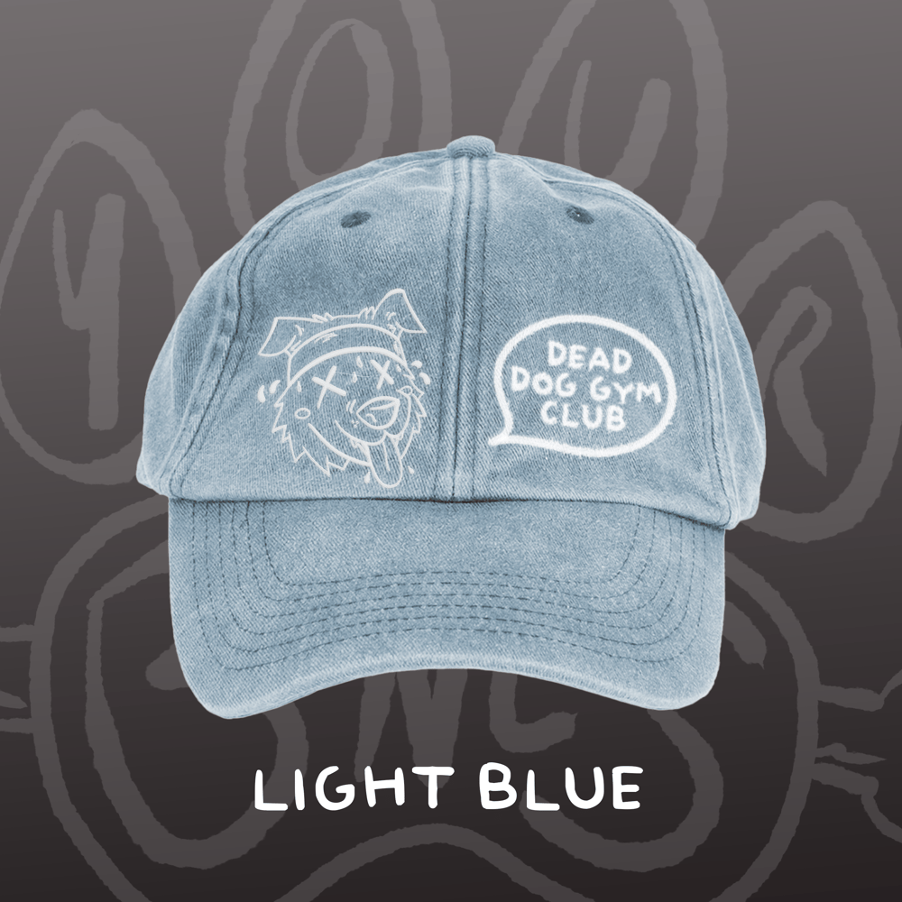 Image of DEAD DOG GYM CLUB - Vintage Hat