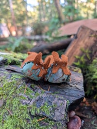 Image 1 of Mud puddles 