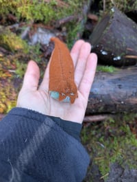 Image 5 of Mud puddles 