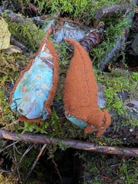 Image 3 of Mud puddles 