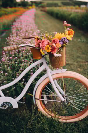 Image of Wildflower Petite Sessions