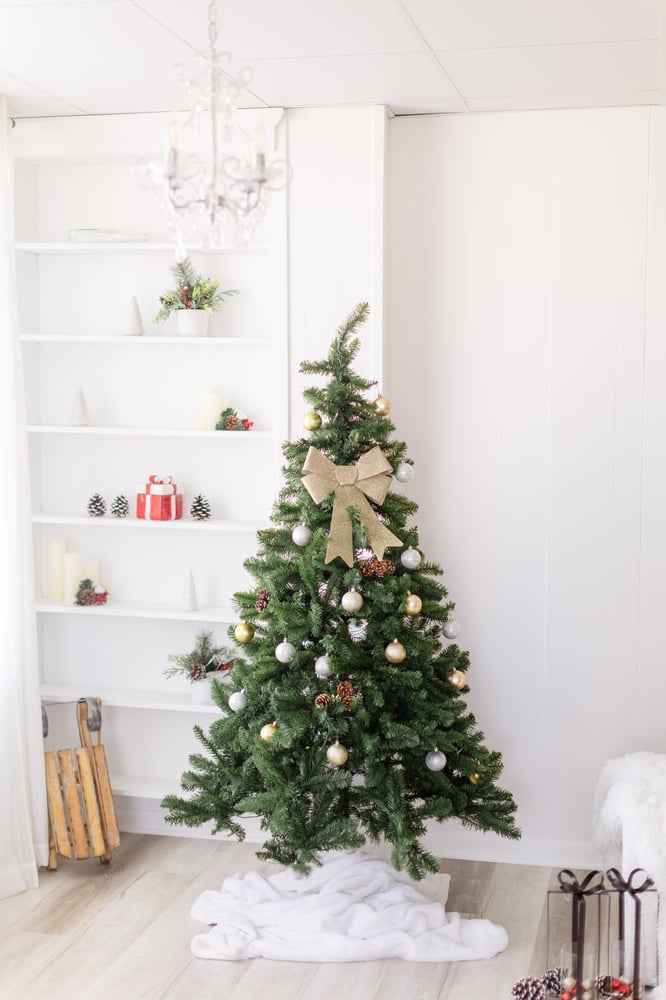 Image of 2025 Holiday Studio Minis