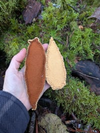 Image 2 of Ripe Banana Slugs