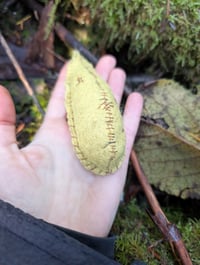 Image 5 of Banana Slugs
