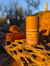 candy cap 🍄‍🟫 lip balm!