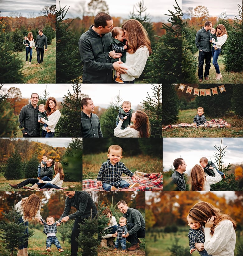 Image of Tree Farm Mini Session Gallery Upgrade 