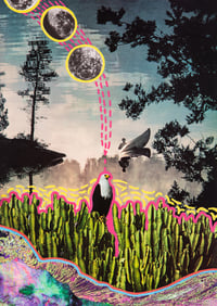 Eagle Dream A2 Poster