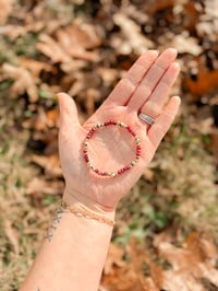 Maroon Jasper + Spotted Jasper Spacer