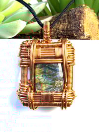 Image 2 of Gladiator 