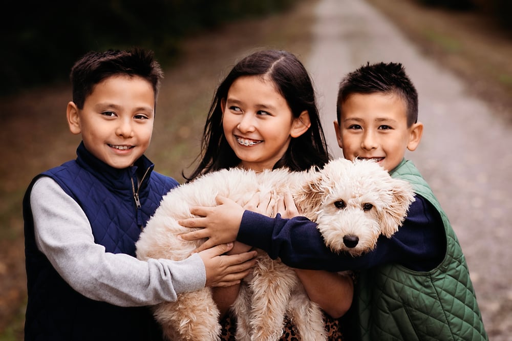 Image of EKP Holiday Minis