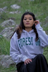 Image 2 of COLLEGE ARC hoodie