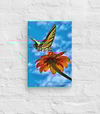 Image 2 of Swallowtail Butterfly on a Tithonia Bloom - 8” X 12” Canvas Print