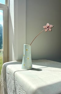 Image 1 of Rosé Petunia 