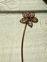 Image 3 of Rosé Petunia 