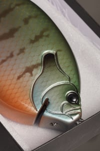 JDM GILL SWIMBAIT (CONSIGNMENT)