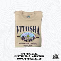 Image 4 of VITOSHA MEMORY