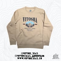 Image 3 of VITOSHA MEMORY