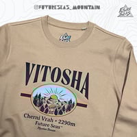 Image 5 of VITOSHA MEMORY