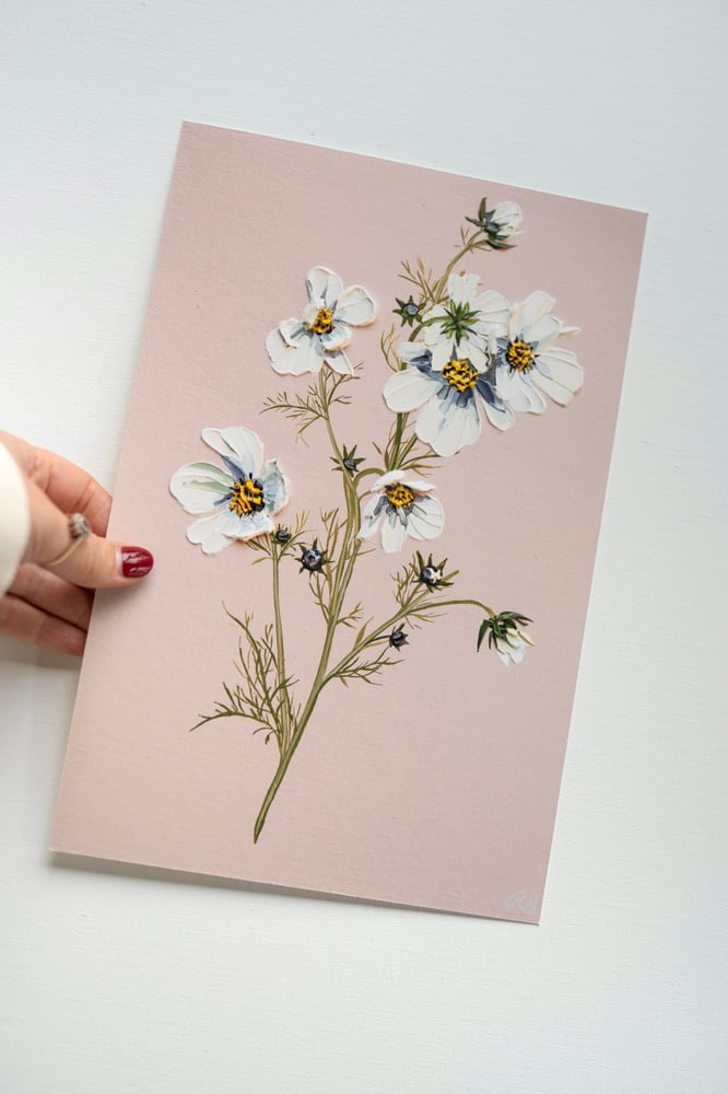 Image of Cosmos On Pink - Giclée Print