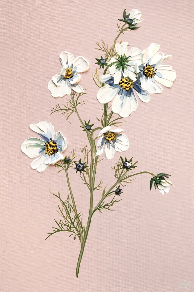 Image of Cosmos On Pink - Giclée Print