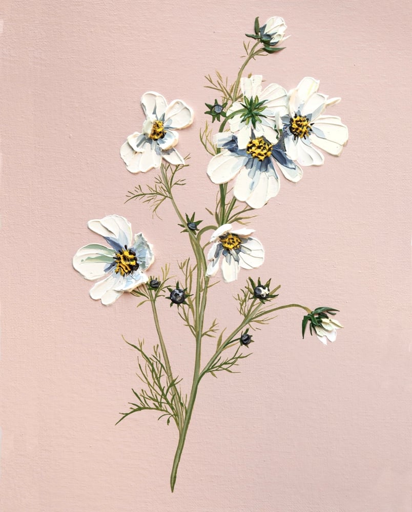 Image of Cosmos On Pink - Giclée Print