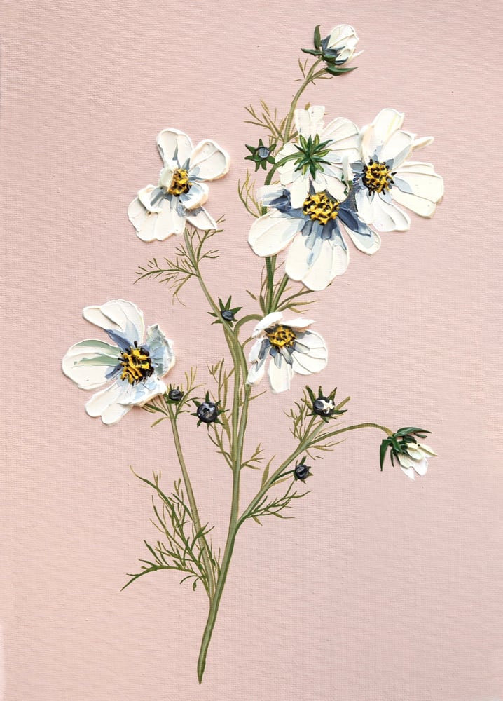 Image of Cosmos On Pink - Giclée Print