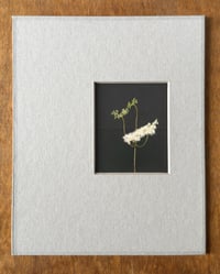 Image 1 of Meadowsweet ii (Small Silent Voices series)