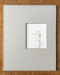 Image 1 of Lesser spearwort (Small Silent Voices series)