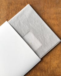 Image 4 of Lesser spearwort (Small Silent Voices series)