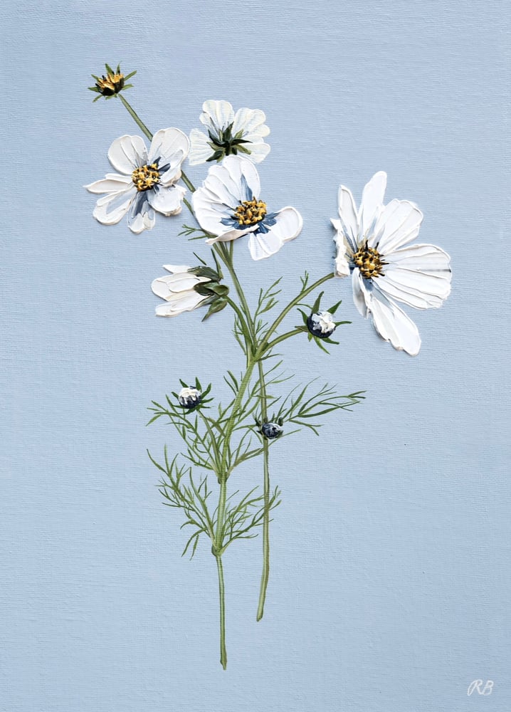 Image of Cosmos On Blue - Giclée Print