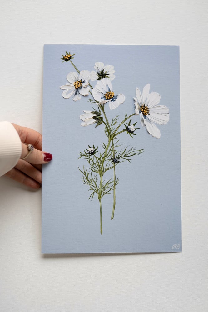 Image of Cosmos On Blue - Giclée Print